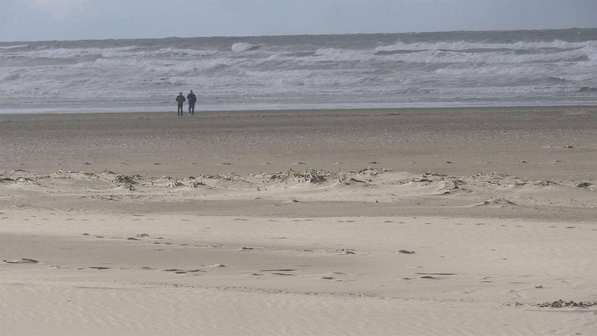 The Ocean Front At Seaside Motell Exteriör bild
